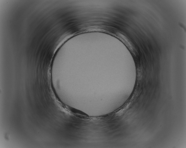 X0000097650814200803280927