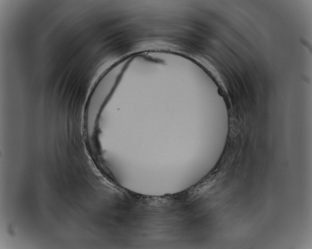 X0000097650815200803280927