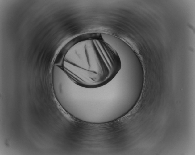 X0000097650816200803280927