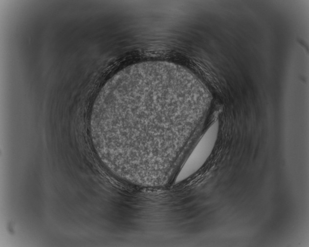 X0000097650817200803280927