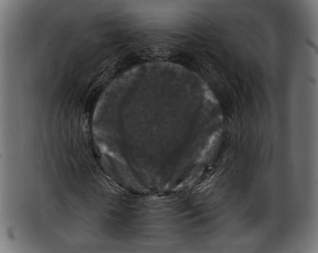 X0000097650818200803280927