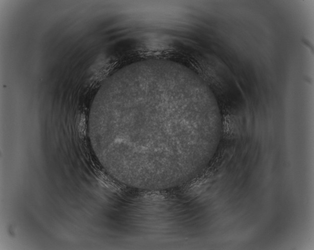 X0000097650820200803280927