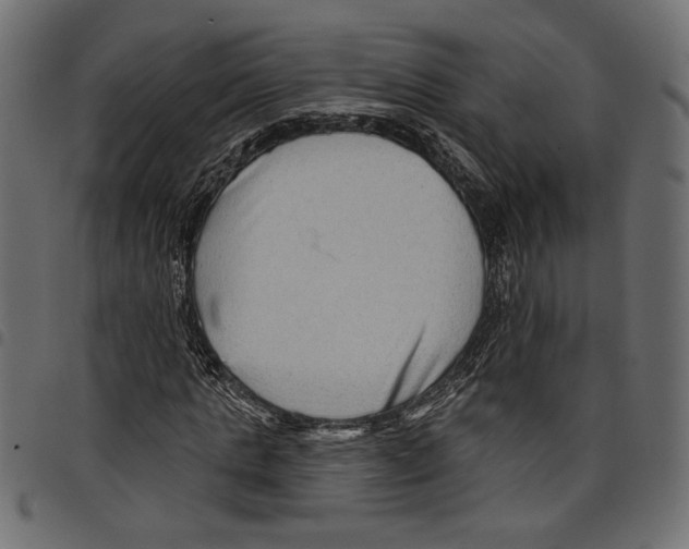 X0000097650821200803280927