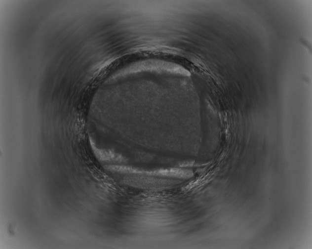 X0000097650822200803280927