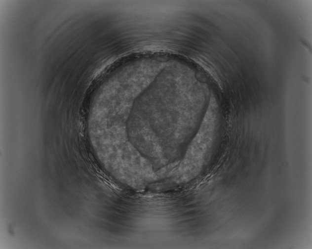 X0000097650823200803280927