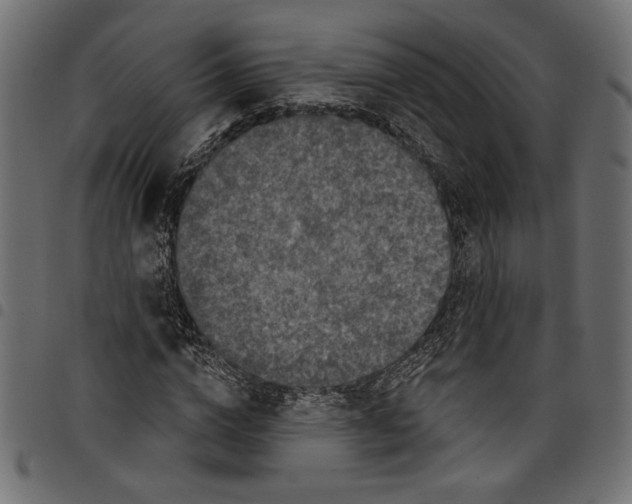 X0000097650824200803280927