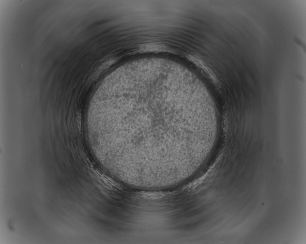 X0000097650825200803280927