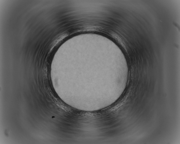 X0000097650827200803280927