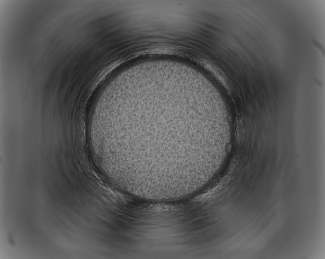 X0000097650829200803280927