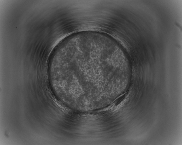 X0000097650830200803280927