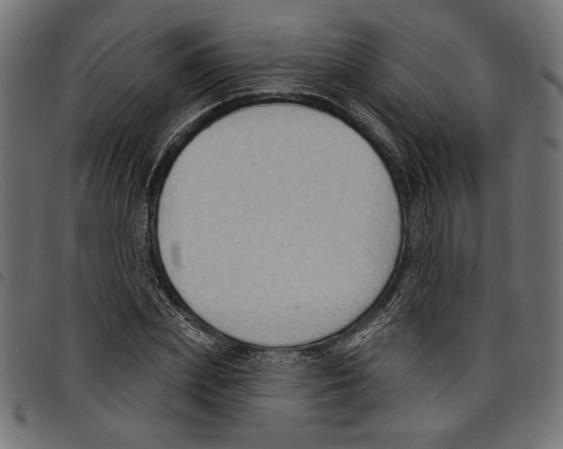 X0000097650831200803280927