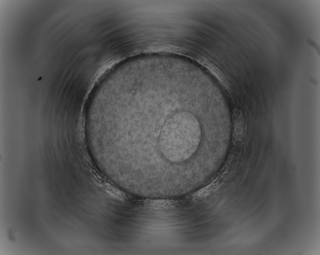 X0000097650832200803280927