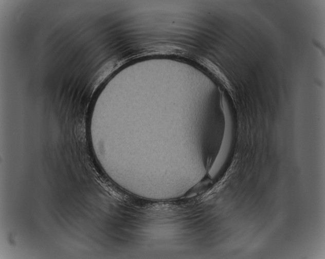 X0000097650834200803280927