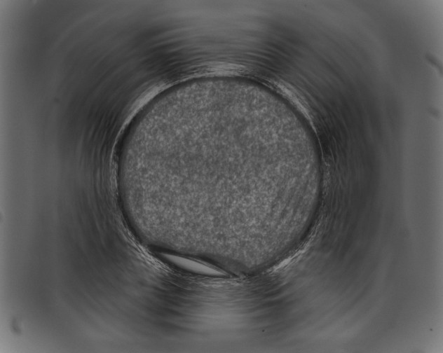 X0000097650835200803280927