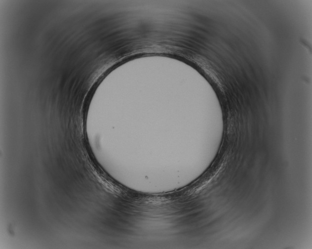 X0000097650837200803280927