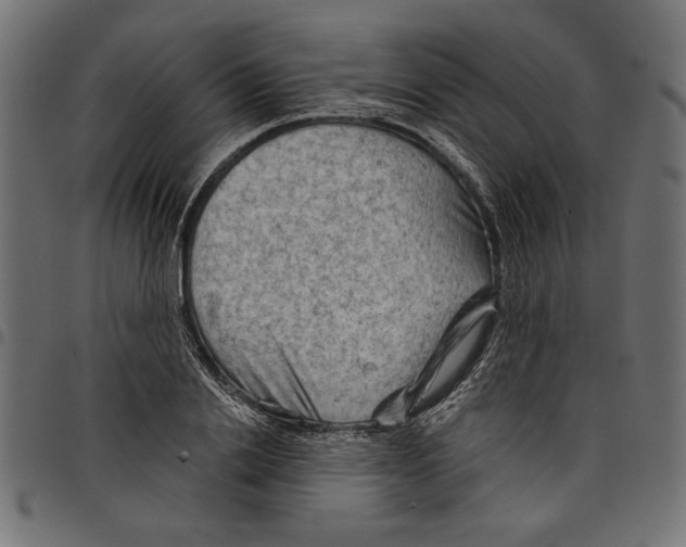 X0000097650838200803280927