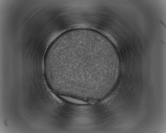 X0000097650839200803280927