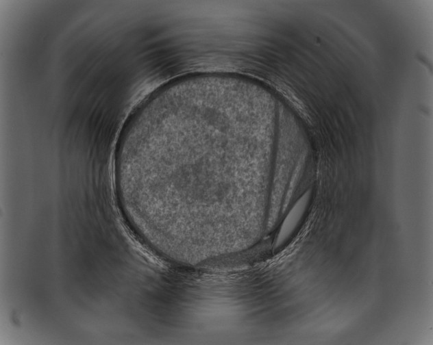 X0000097650840200803280927