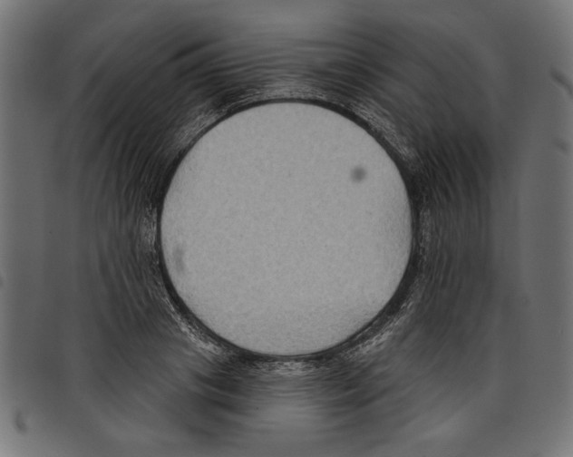 X0000097650841200803280927