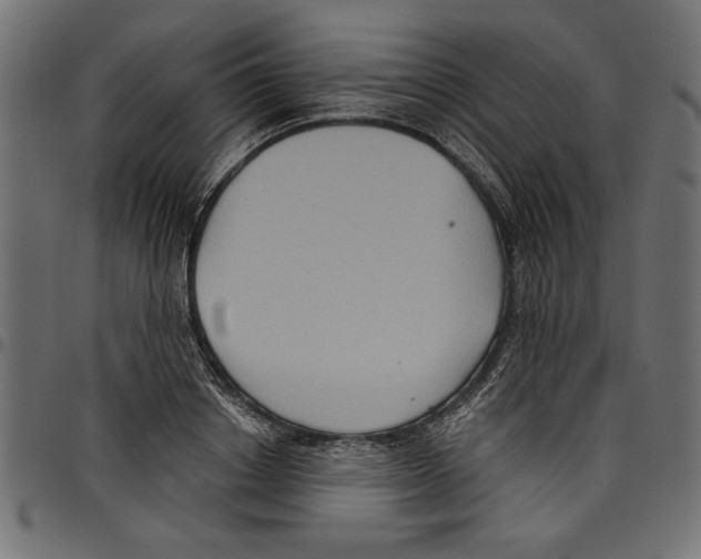 X0000097650842200803280927