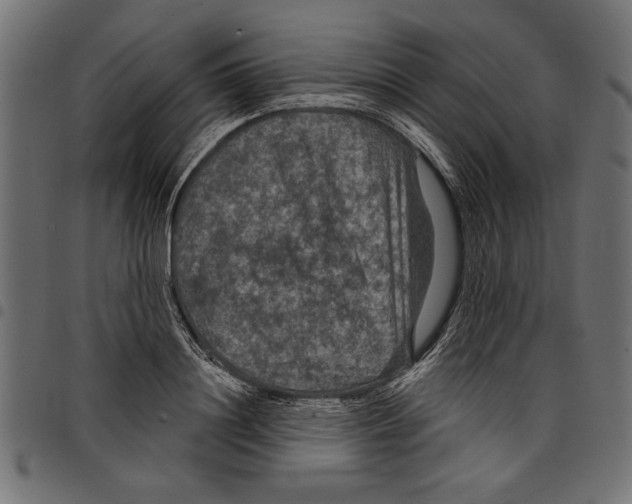 X0000097650844200803280927