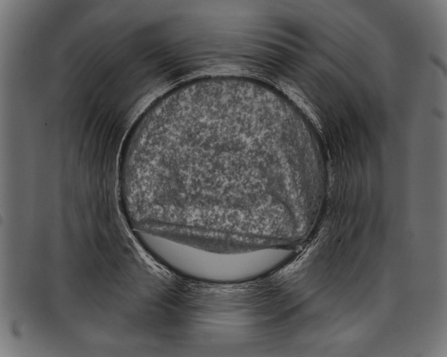 X0000097650845200803280927