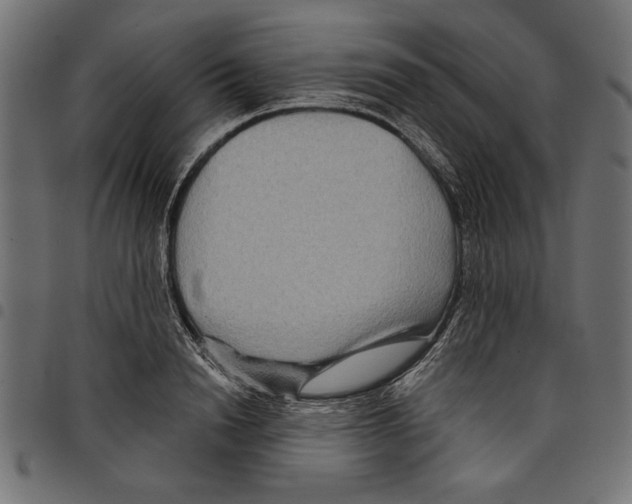 X0000097650846200803280927