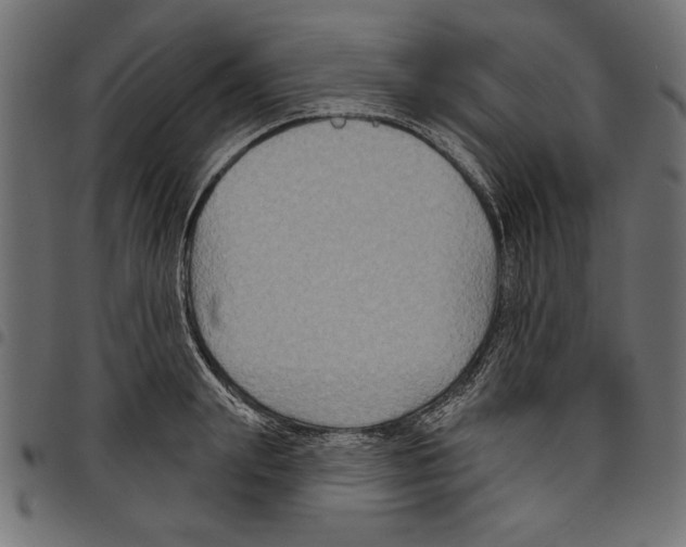 X0000097650847200803280927