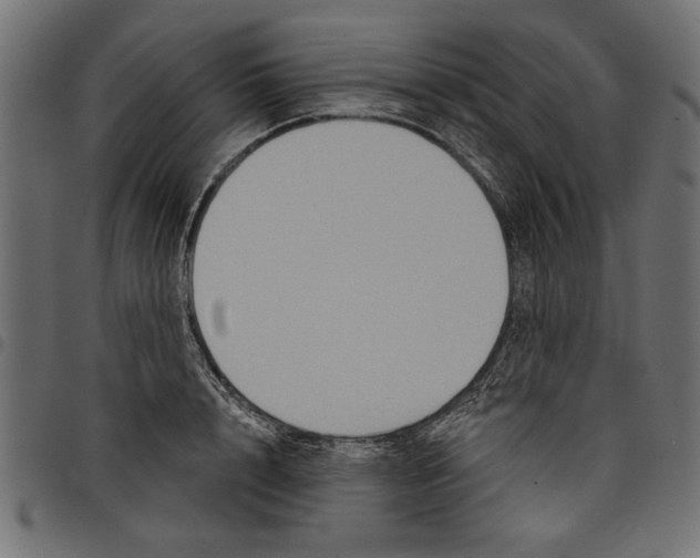 X0000097650848200803280927