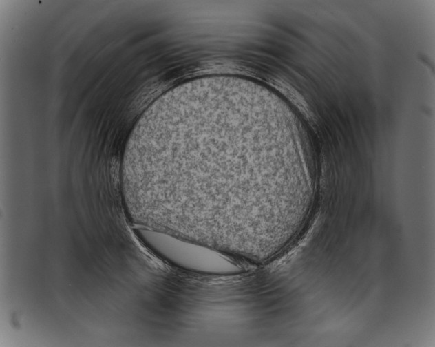 X0000097650849200803280927