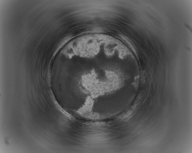 X0000097650851200803280927