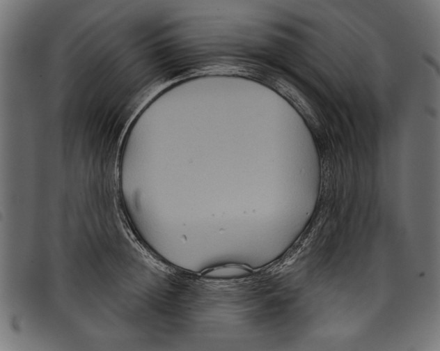 X0000097650852200803280927