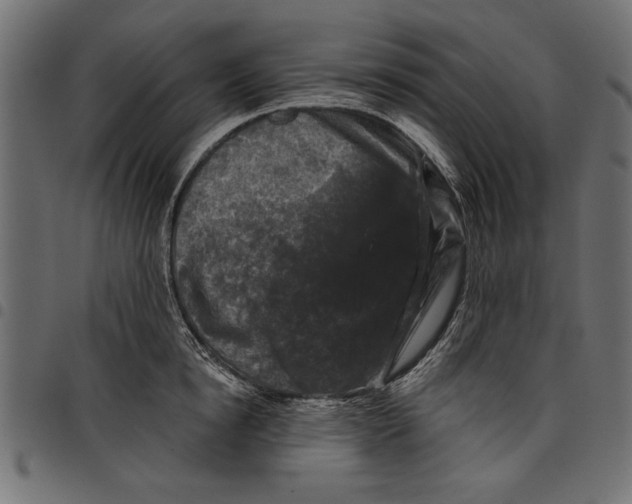 X0000097650854200803280927