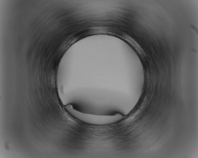 X0000097650857200803280927