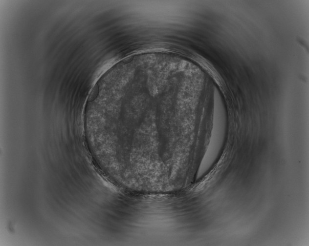 X0000097650858200803280927