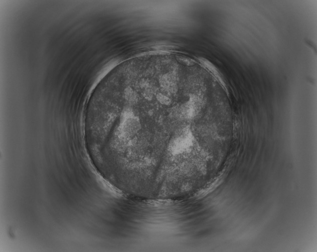 X0000097650859200803280927