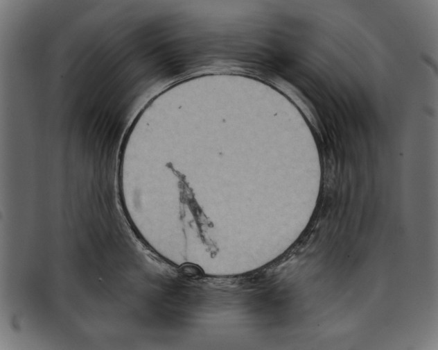 X0000097650861200803280927