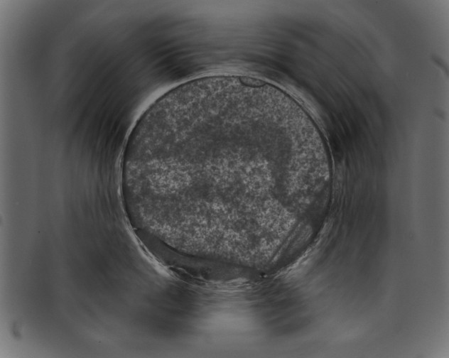 X0000097650862200803280927