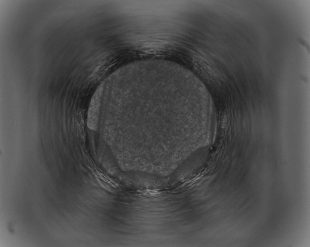 X0000097650868200803280927