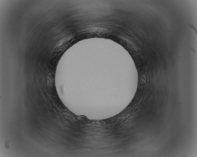 X0000097650869200803280927