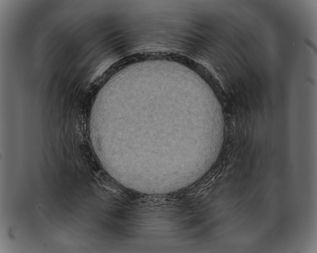 X0000097650871200803280927