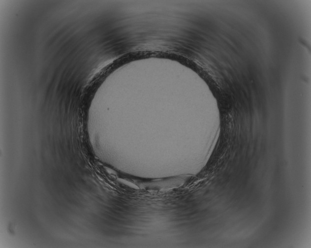 X0000097650872200803280927