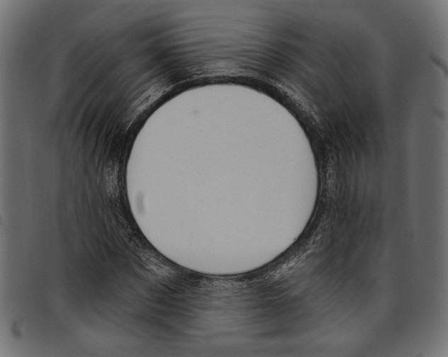 X0000097650873200803280927