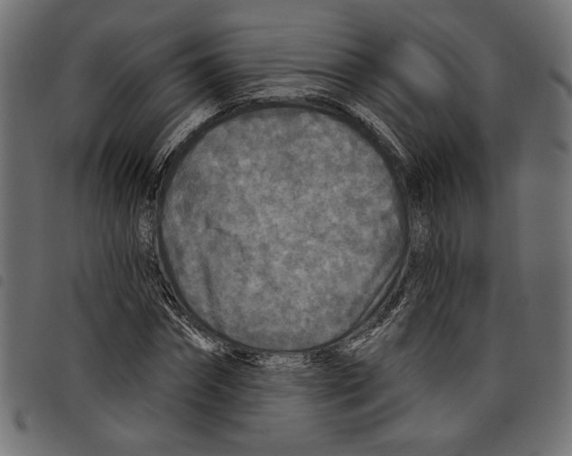 X0000097650874200803280926