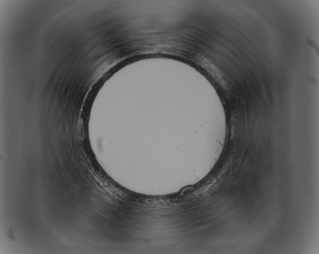 X0000097650876200803280926