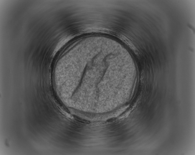 X0000097650877200803280926