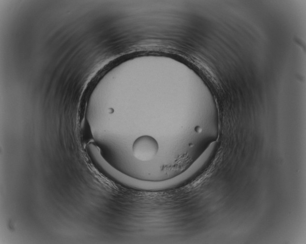 X0000097650880200803280926