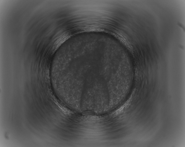 X0000097650881200803280926