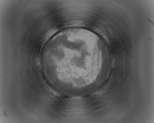 X0000097650882200803280926