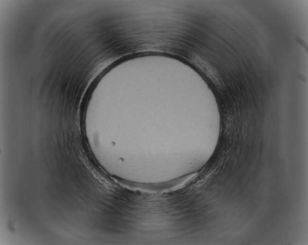 X0000097650884200803280926